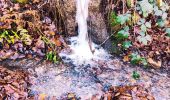 Tour Wandern Jalhay - Légendes et forêt enchantée à Solwaster. (Promenade 57)  - Photo 13