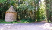 Randonnée Marche Chenereilles - Chenereilles, le château de Joux  - Photo 5