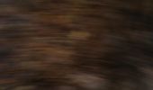 Percorso Marcia Arbois - Arbois 22 oct 2019 CAF - Photo 11