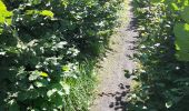 Tocht Stappen Court-Saint-Étienne - Dans le bois Sainte Catherine... - Photo 1