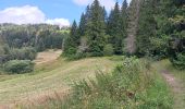 Randonnée Marche Charix - lac de genin - bretouze /  retour - Photo 19