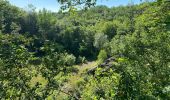 Tour Wandern Rochefort - Wavrielle  12-06-20 - Photo 2