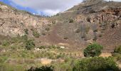 Percorso A piedi Santa Brígida - Camino Borde de Caldera - Photo 2