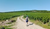 Tour Wandern Blancs-Coteaux - Vertus du 25-06-2023 - Photo 1