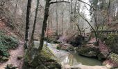 Tocht Stappen Waldbillig - Mullerthal - Photo 5