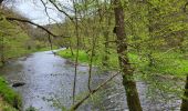 Trail Walking Houffalize - Engreux 050523 - Photo 10