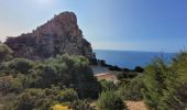 Excursión Senderismo Baunei - Punta Giralidi  - Photo 8