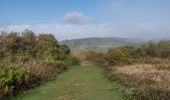 Trail On foot Mole Valley - The Box Hill Hike - Photo 6