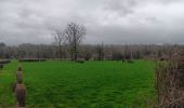 Trail Walking Bassenge - entre Wonck et Eben-Eser - Photo 3