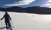 Tocht Sneeuwschoenen Matemale - Tour lac mattemale neige  - Photo 4