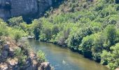 Trail Walking Berrias-et-Casteljau - Les gorges de Chassezac - Photo 3