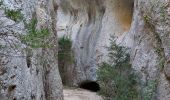 Excursión Senderismo Cheval-Blanc - Gorges de Régalon 4.3.23  - Photo 9