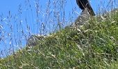 Tour Wandern Lans-en-Vercors - Pic St Michel - Photo 6