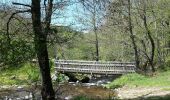 Tocht Stappen Mont Lozère et Goulet - Tournel Oulmes - Photo 4