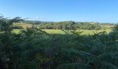 Tour Wandern Susmiou - GR 65 Navarrenx > Lichos - Photo 12