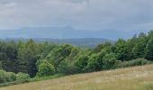 Tocht Stappen Messeix - PETITE BOUCLE AUTOUR DE BIALON - Photo 3