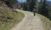 Tour Mountainbike Le Grand-Bornand - Tour du Danay - Photo 5