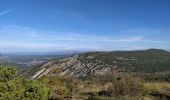 Trail Walking Plan-d'Aups-Sainte-Baume - plan d'aups ste baume - Photo 10