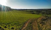 Tour Mountainbike Wirten - Gérouville  -  Balade_VTT_28kms - Photo 5