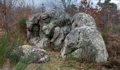 Tocht Stappen Fontainebleau - Circuit des Arbres remarquables 107 - Photo 9