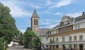 Tocht Te voet Malmedy - Bellevaux : Lasnenville Planche - Photo 2