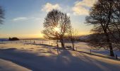 Percorso Racchette da neve Picherande - Chareire_Fontaine_Salee_JG_02 - Photo 1