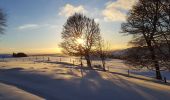 Tour Schneeschuhwandern Picherande - Chareire_Fontaine_Salee_JG_02 - Photo 2