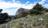 Excursión Senderismo Saint-Auban - L'arpille près de Sausses - Photo 1