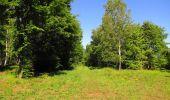 Randonnée Marche Trosly-Breuil - en forêt de Compiègne_28_les Tournantes sur le Mont Saint-Mard et sur le Mont Collet - Photo 9