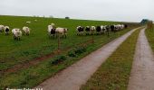 Tour Wandern Braives - hosdent reco 2024 - Photo 8