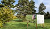 Tour Wandern Le Chesnay-Rocquencourt - Arboretum de Chevreloup - Photo 3