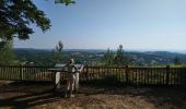 Excursión Marcha nórdica Volvic - Sommet du Puy de Paugnat  - Photo 3