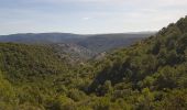 Percorso Marcia Saint-Guilhem-le-Désert - Saint Guilhem L'Ermitage ND de la Grâce - Photo 19