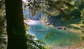 Trail On foot Vouvry - Miex-Lac Tanay (via Prélagine) - Photo 2
