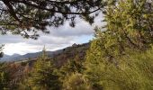 Tour Wandern Le Lauzet-Ubaye - Petit circuit de Roche Rousse Tunnels et passerelle.  - Photo 8