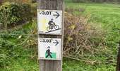 Trail Walking Silly - Gondregnies - bois de la Provision - Fouleng - Photo 20