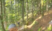Tour Wandern Badenweiler - La Vierge Clarisse VOSGES - Photo 20