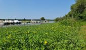 Tocht Stappen Aureilhan - Tour du Lac Aureilhan  - Photo 11