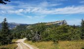 Randonnée Marche Lans-en-Vercors - le vertige des cimes - Photo 3