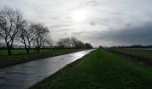 Tocht Te voet South Holland - Willow Tree Fen Blue intermediate route - Photo 6