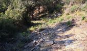Trail Walking Pierrefeu-du-Var - N4 Portaniere fedon 1 - Photo 8