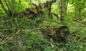 Tocht Stappen Chimay - Lompret - bois de Blaimont - Lompret - Photo 3