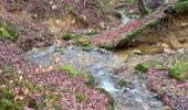 Tocht Stappen Stavelot - extratrail vert stavelo - Photo 3