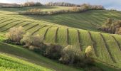 Tour Zu Fuß Albinea - Borzano - Ca' dei Duchi - Bellavista - Ca' del Vento - Giareto - Borzano - Photo 1