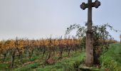 Excursión Senderismo Eguisheim - eguishem- vignoble et château  - Photo 12