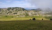 Tocht Stappen Saint-Agnan-en-Vercors - haut plateau depuis la coche  - Photo 5