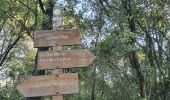 Trail Walking Le Broc - ESTERON - Photo 17