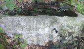 Randonnée Marche Celles-sur-Plaine - Tête du coquin  - Photo 3