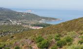 Excursión Senderismo Belgodère - les hauteurs de lozari (départ plage de Lozari) - Photo 5