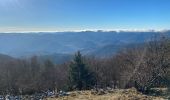 Trail Walking Lautenbachzell - 23 11 24  - Photo 1
